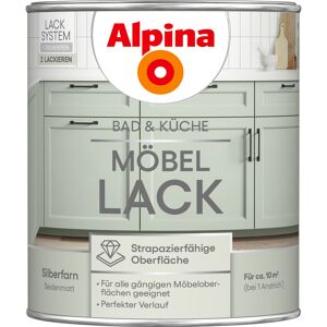 Möbellack Silberfarn seidenmatt 750 ml