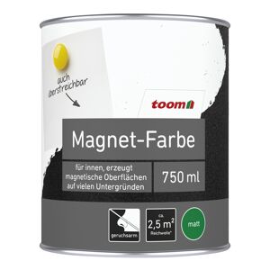 Magnet-Lack grau matt 750 ml
