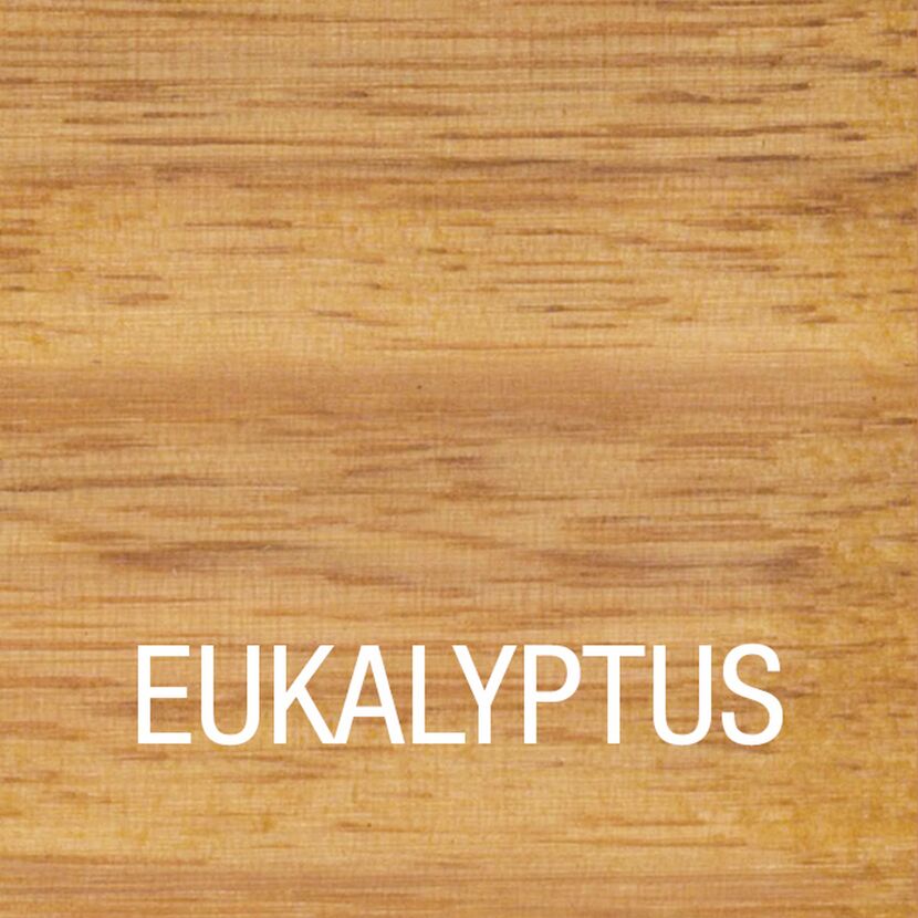 Nahaufnahme von Eukalyptusholz