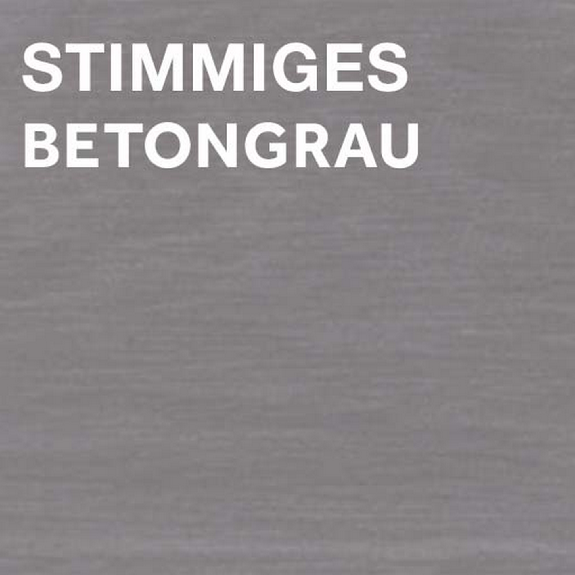 Sprühlack 'Stimmiges Betongrau' stumpfmatt 400 ml + product picture