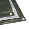 Gewebeplane Polyethylen grün/silbern 3 x 5 m