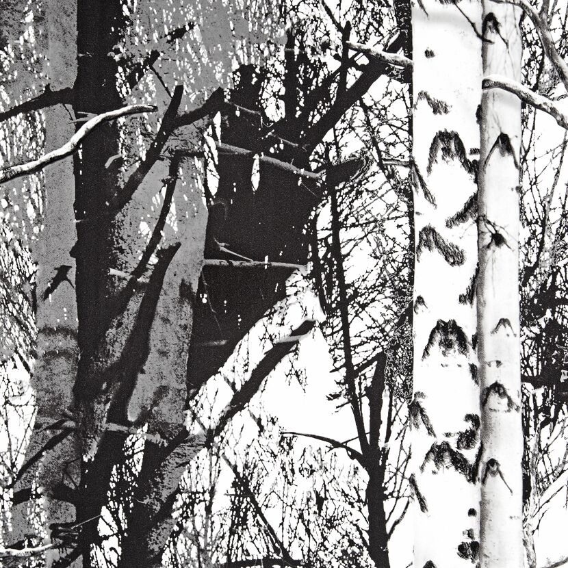Schwarz-weißes Muster mit Bäumen