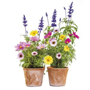 Fenstersticker 'Springtime' 2-teilig