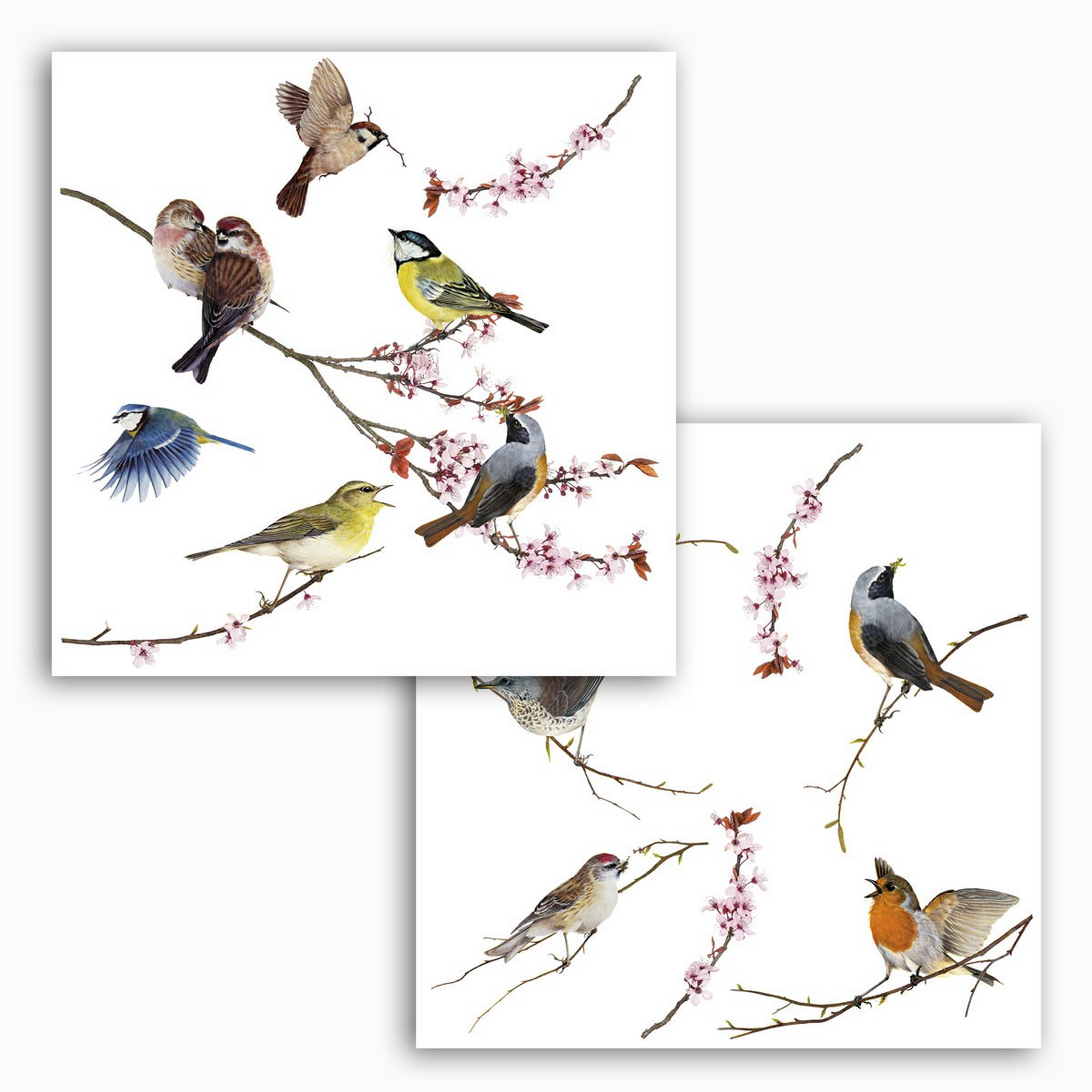 Fenstersticker 'Birds' 12-teilig + product picture