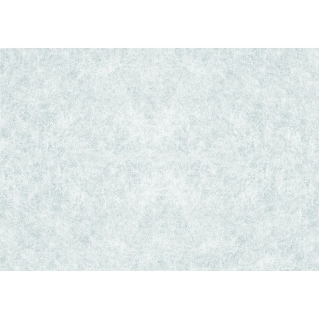 Sichtschutzfolie 'Reispapier' weiß 67,5 x 200 cm
