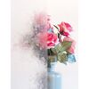 Klebefolie Splinter mit Rosen im Hintergrund