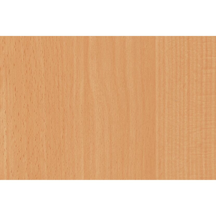 Holzstruktur Rotbuche Nahaufnahme