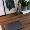 Laptop, Pflanze und Stifte auf einem Schreibtisch