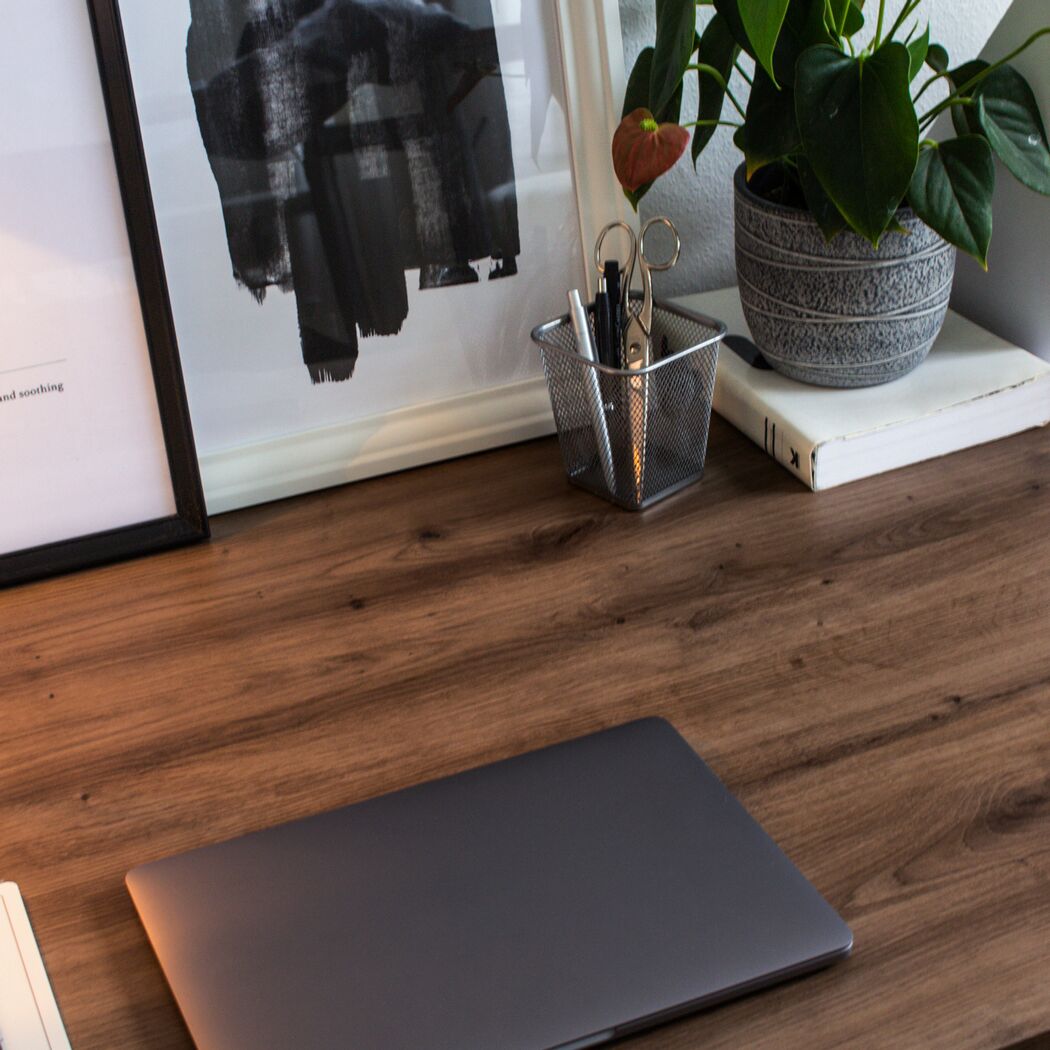 Laptop, Pflanze und Stifte auf einem Schreibtisch