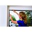 Person bringt Fliegengitter mit Klettverschluss an Fenster an