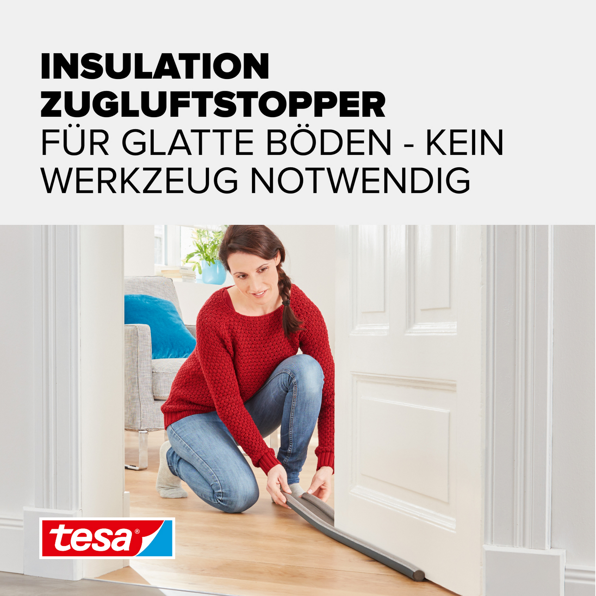 Türbodendoppeldichtung 'Insulation' grau 95 x 2,5 cm