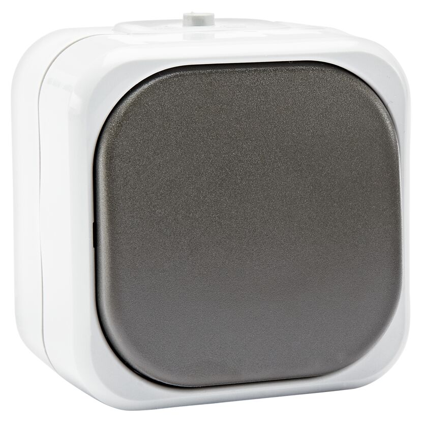 Grauer AP Taster Aqua Top