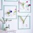 Blumenvasen in Bilderrahmen an der Wand