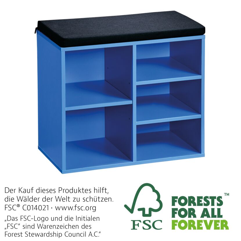 Blauer Schuhschrank mit Sitzfläche
