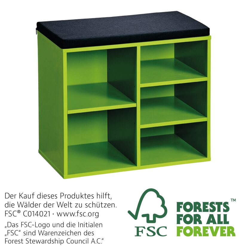 Grüner Schuhschrank mit Sitzkissen