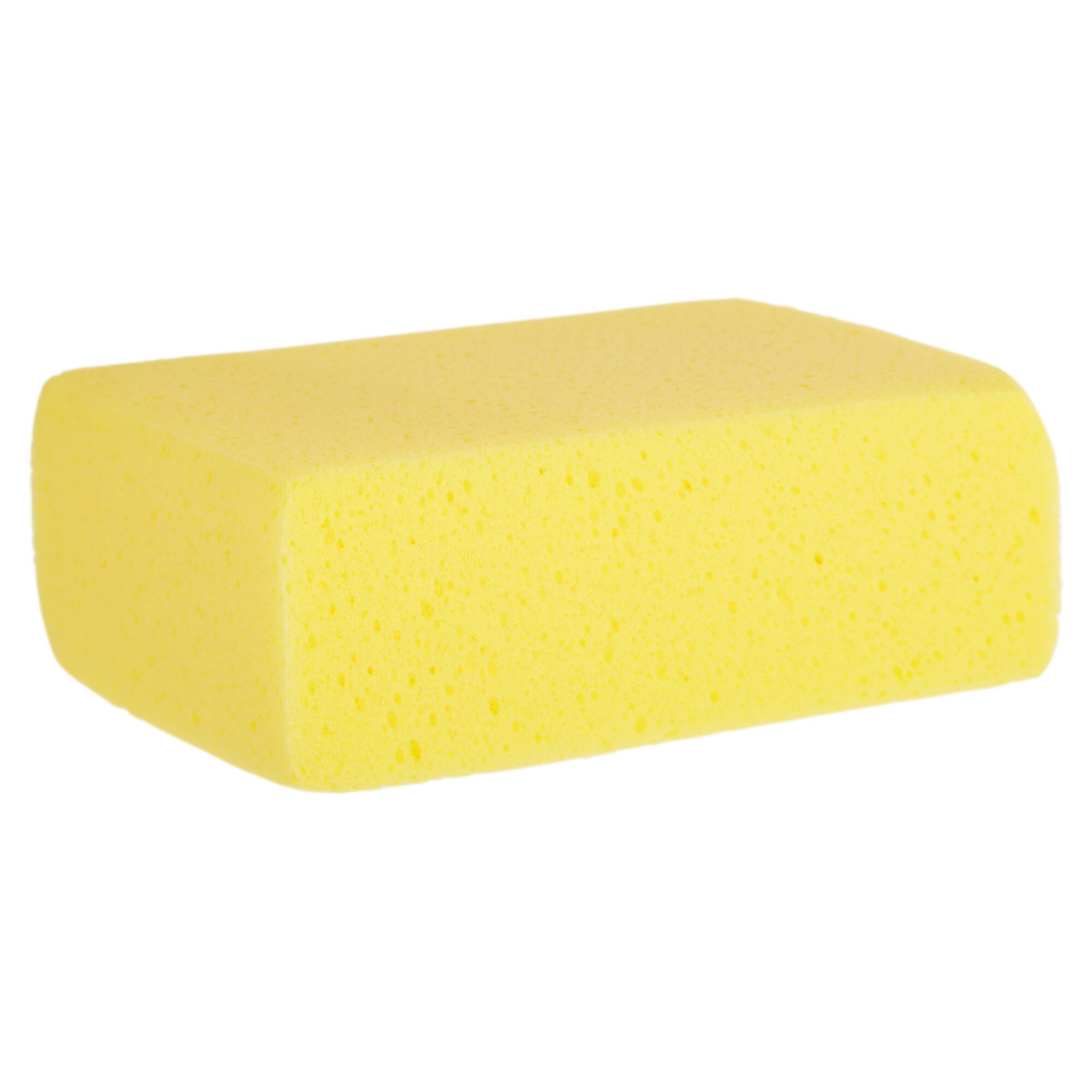 Gelber Fliesenschwamm