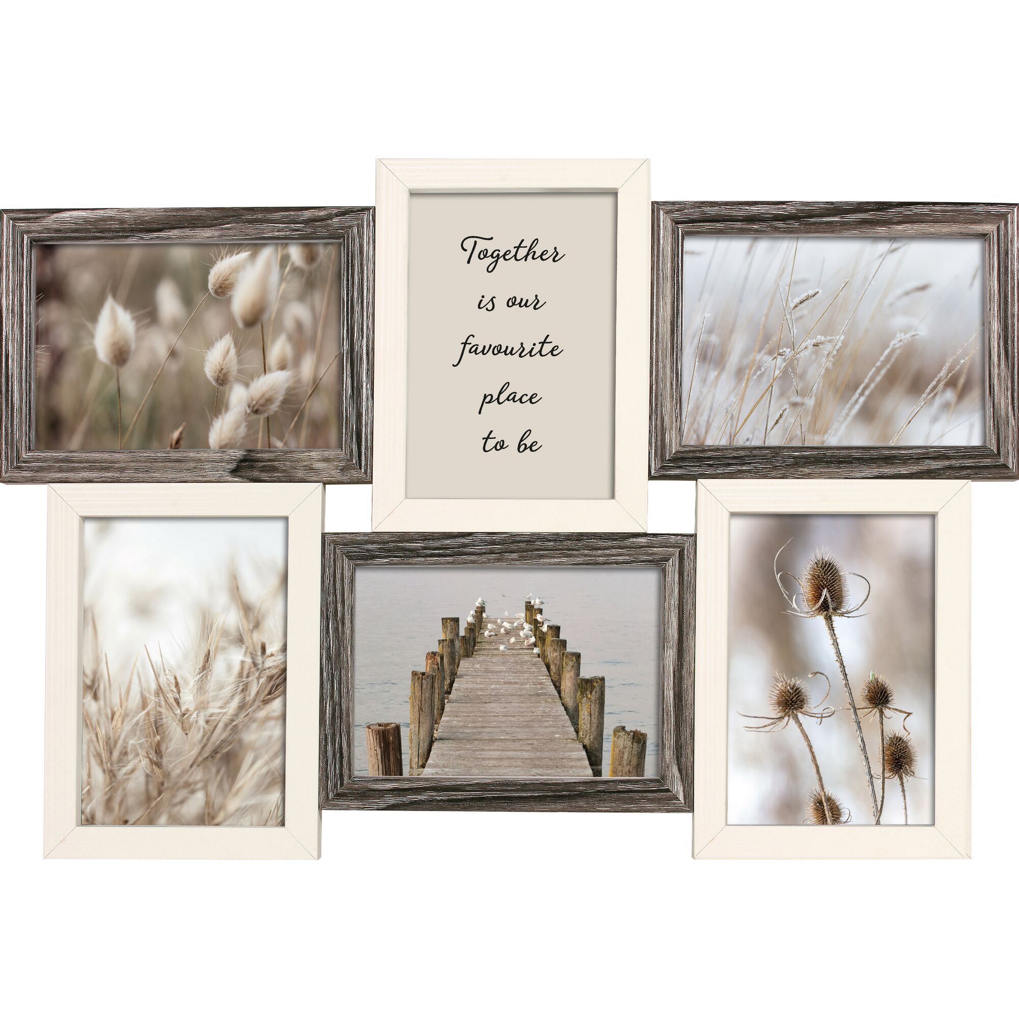 Bilderrahmen mit sechs Fotos von Pflanzen und einem Steg