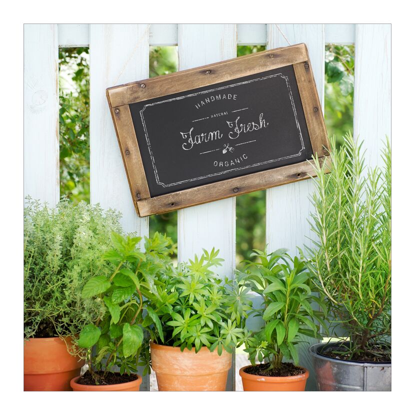 Schild "Farm Fresh" und Kräuter vor Lattenzaun