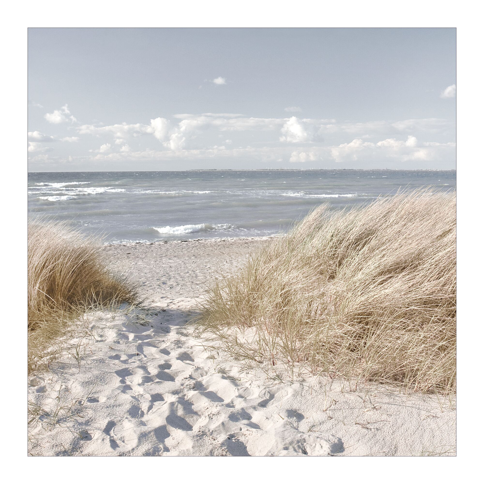 Sandweg durch Dünengras zum Meer