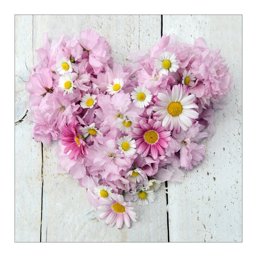 Herz aus rosa Blüten und Gänseblümchen auf Holztisch.