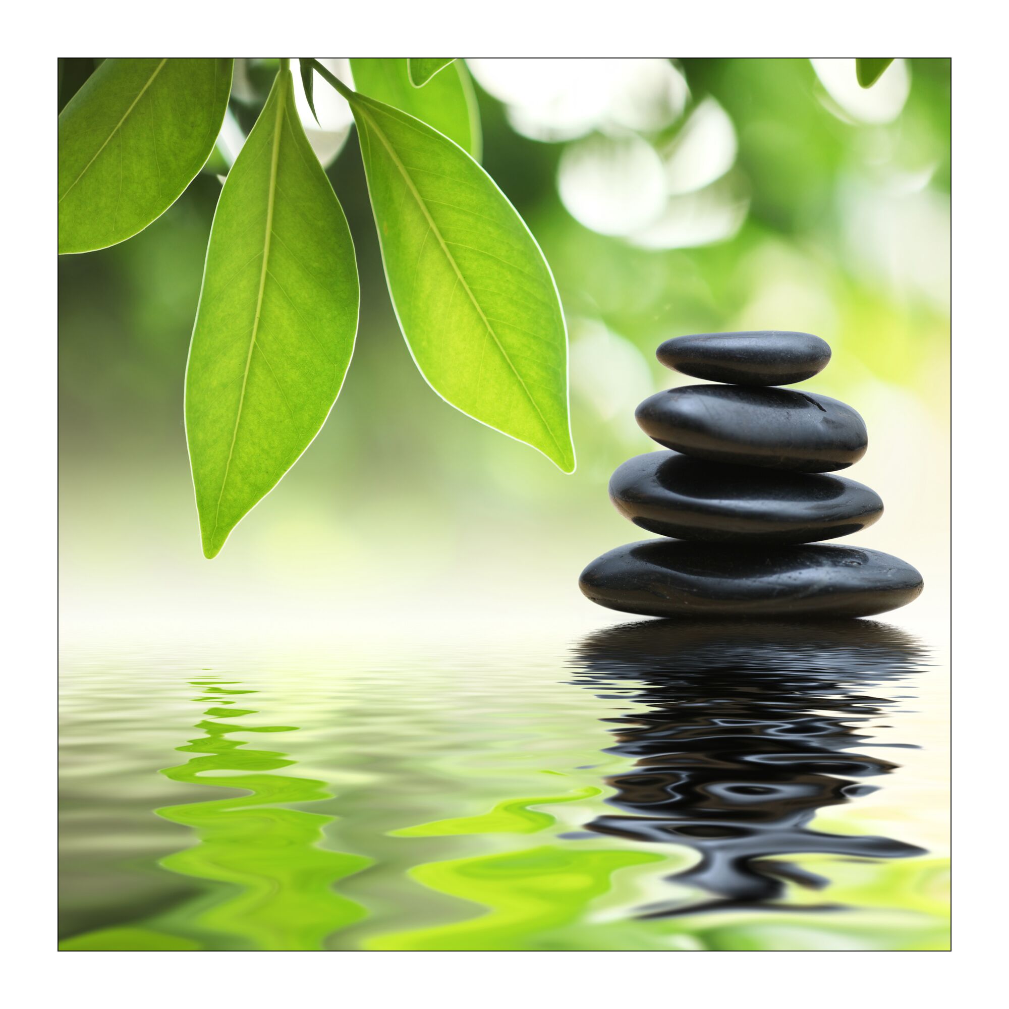 Vier schwarze Steine im Wasser vor grünen Blättern.