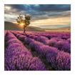 hauptbild