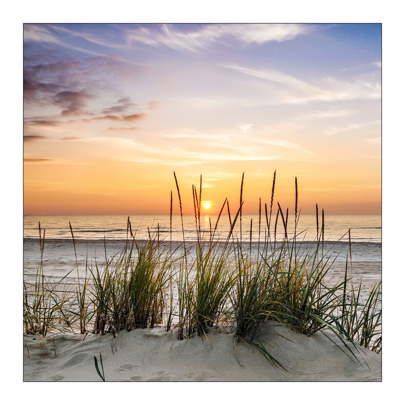 Sonnenuntergang am Strand mit Dünengras im Vordergrund.