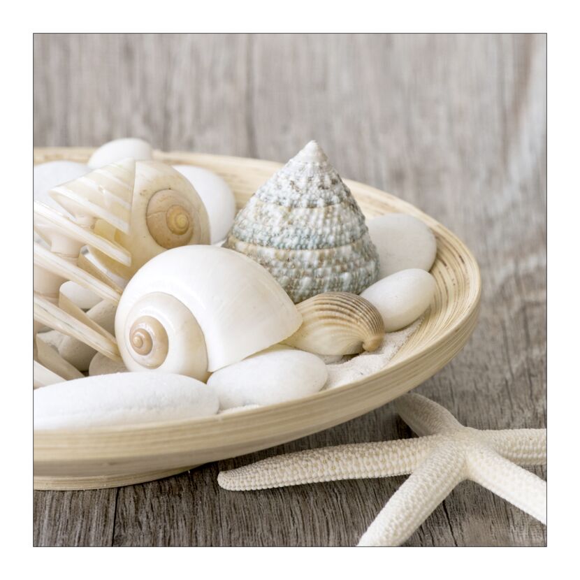 Muscheln und Steine in einer Schale und ein Seestern