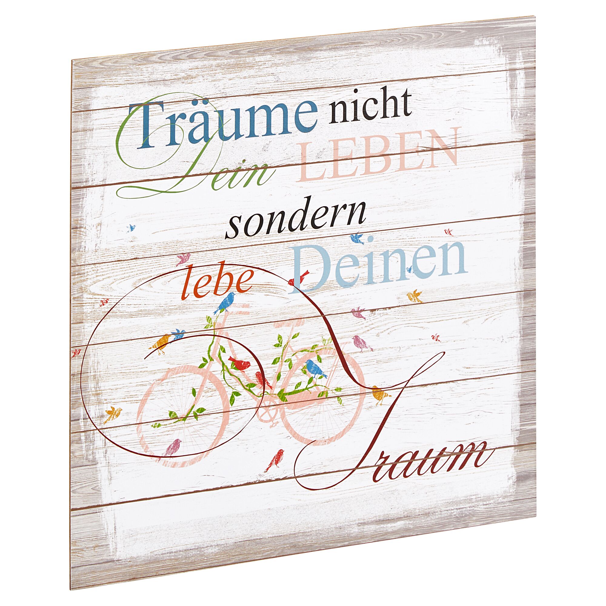 Schild mit Fahrradmotiv und Schriftzug "Träume nicht Dein Leben, sondern lebe Deinen Traum."