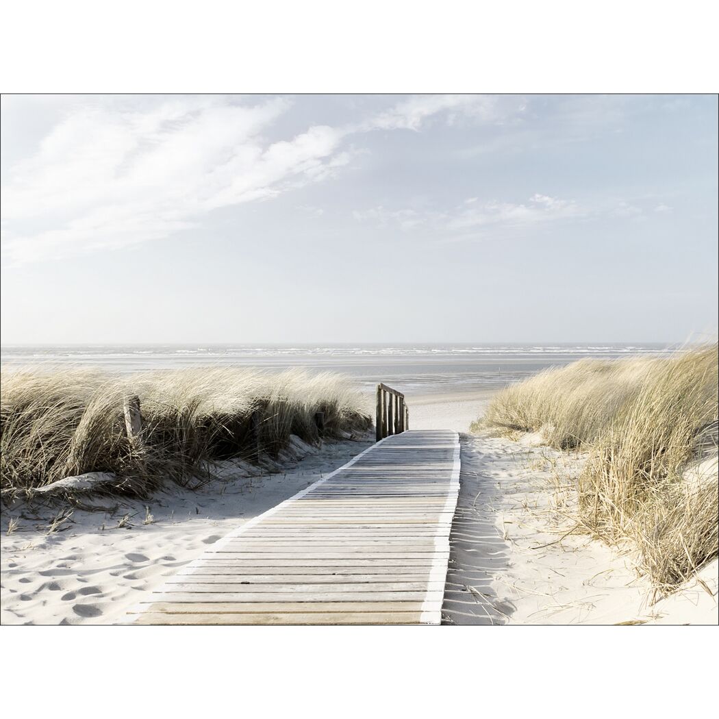 Holzsteg durch Dünengras zum Strand