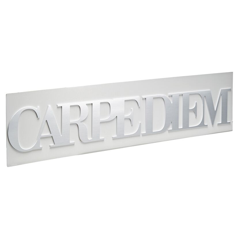 Silberner Dekoschriftzug Carpe Diem