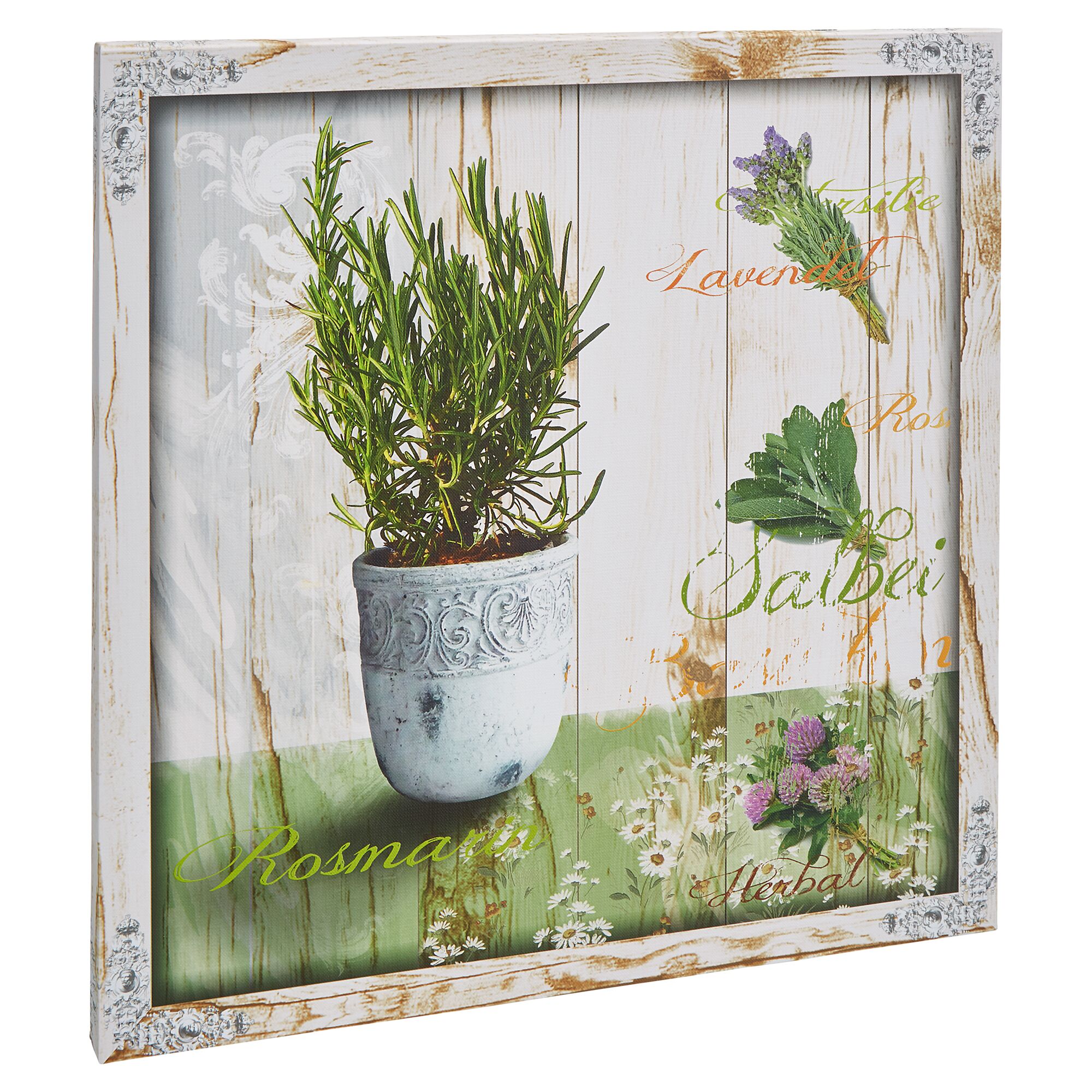 Leinwandbild Kräuter