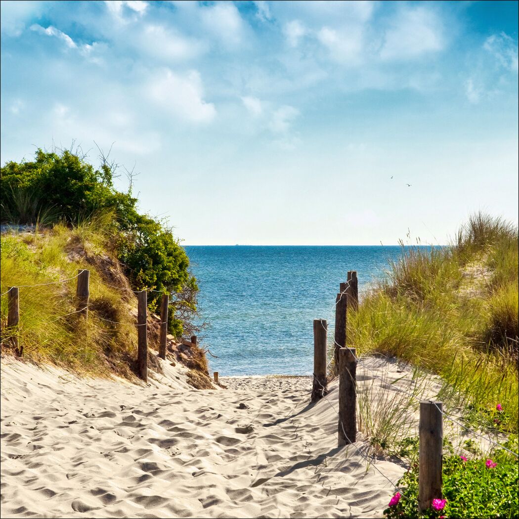 Sandweg zwischen Dünen zum Meer