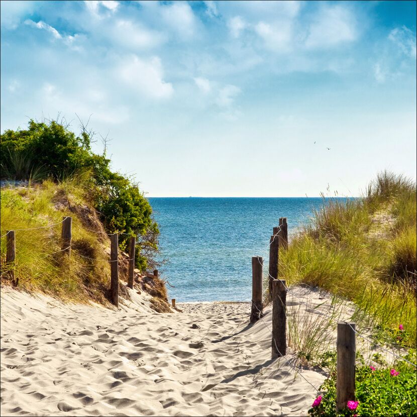 Sandweg zwischen Dünen zum Meer