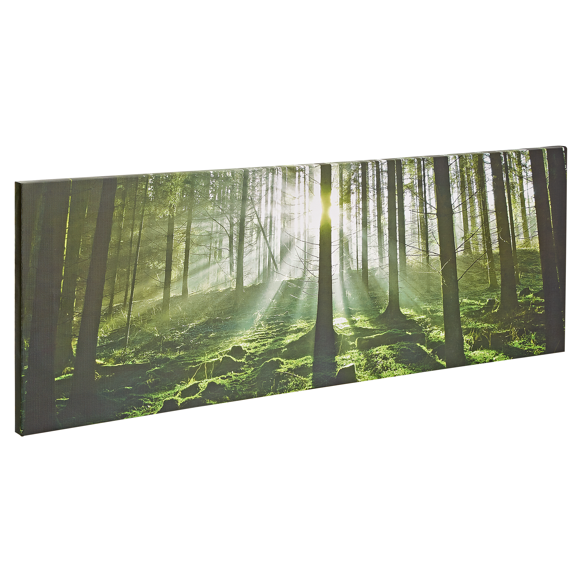 Leinwandbild Canvas "Wald" 77 x 27 cm + product picture