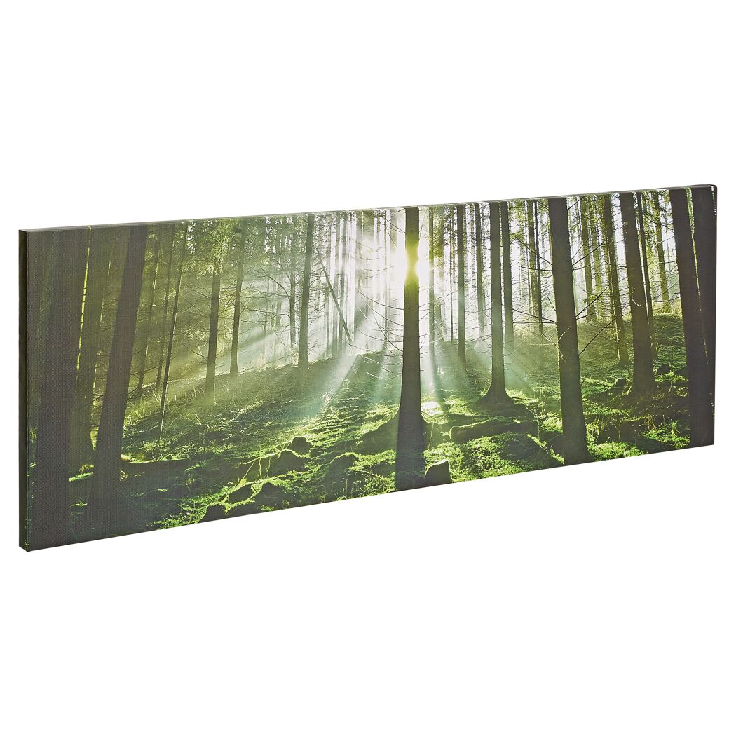 Sonnenlicht scheint durch den grünen Wald.
