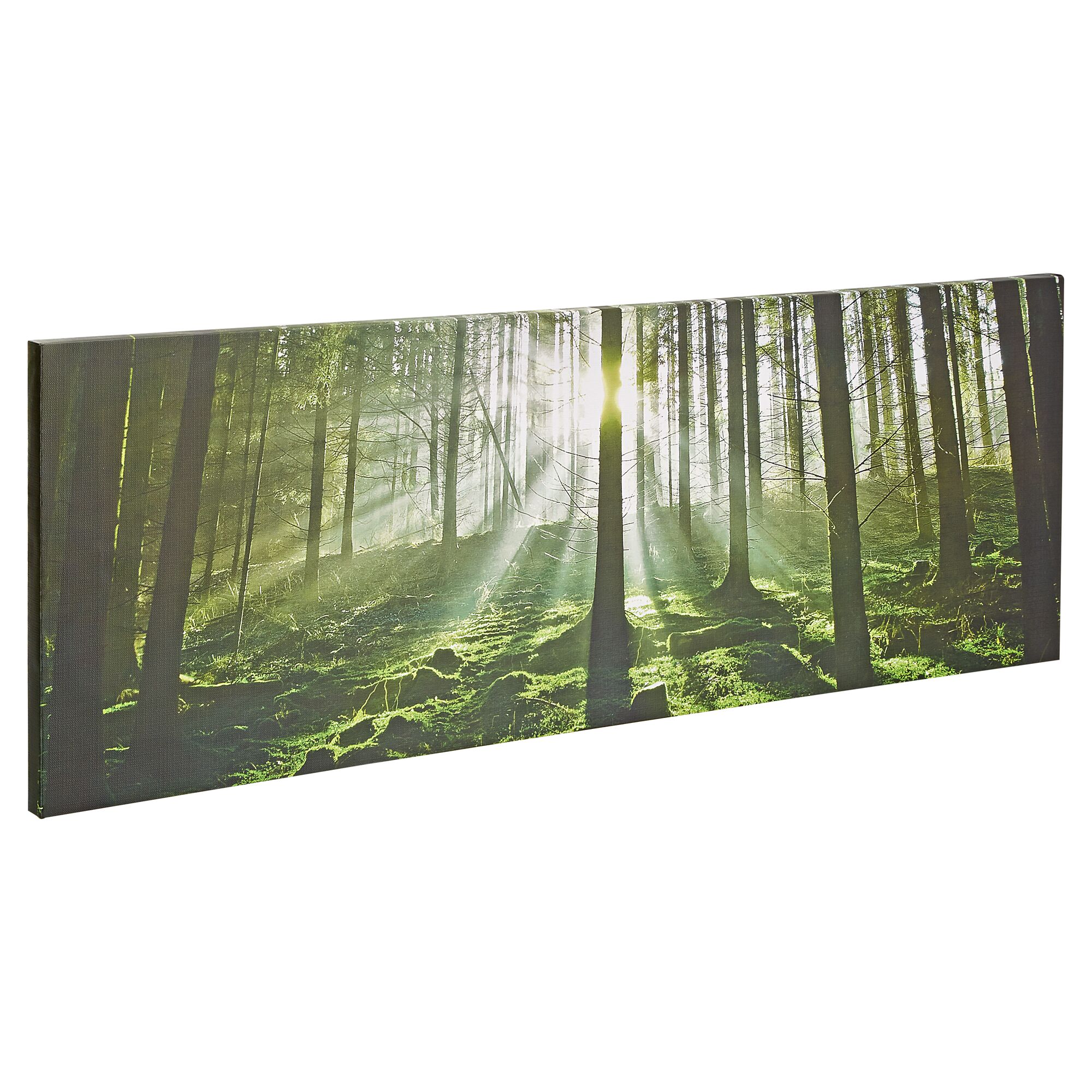 Sonnenlicht scheint durch den grünen Wald.