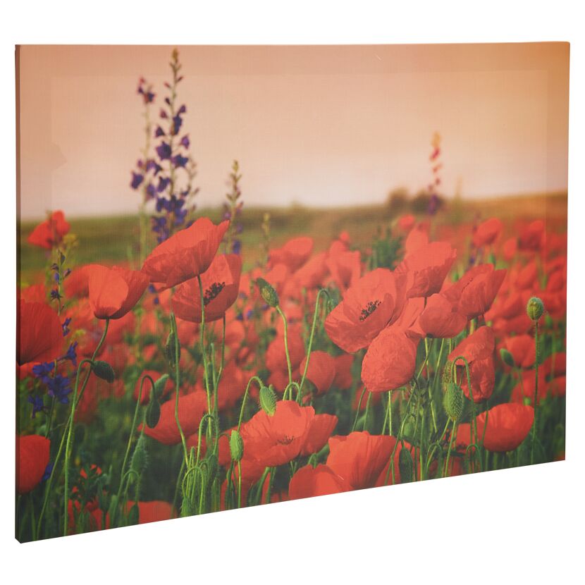 Leinwandbild Canvas "Mohnblumenfeld" 77 x 57 cm