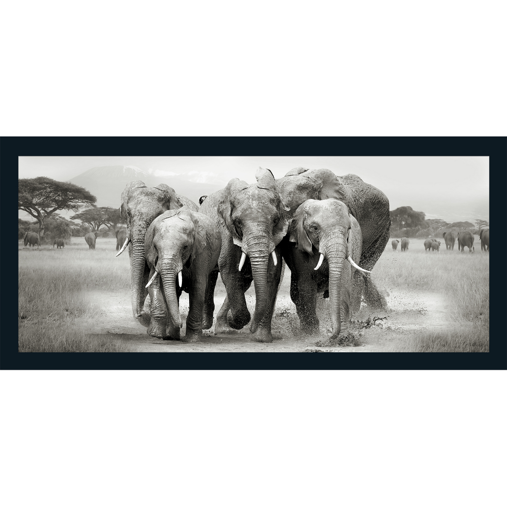 Kunstdruck Oversized 'Elephant Herd' gerahmt 60 x 130 cm + product picture