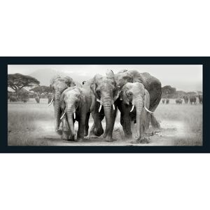 Kunstdruck Oversized 'Elephant Herd' gerahmt 60 x 130 cm