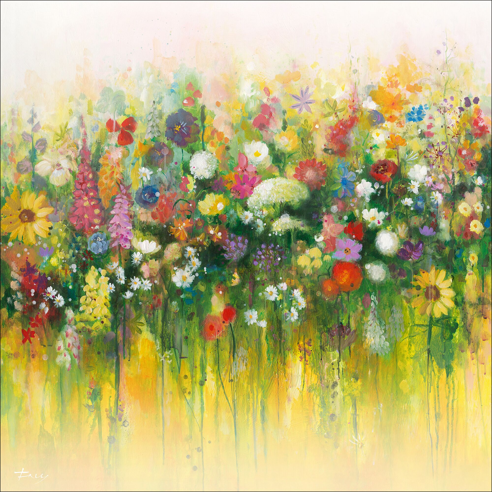 Blühende Sommerwiese