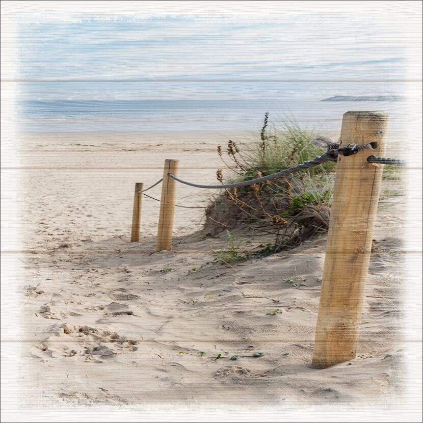 Sanddüne mit Seil und Holzpfosten am Strand