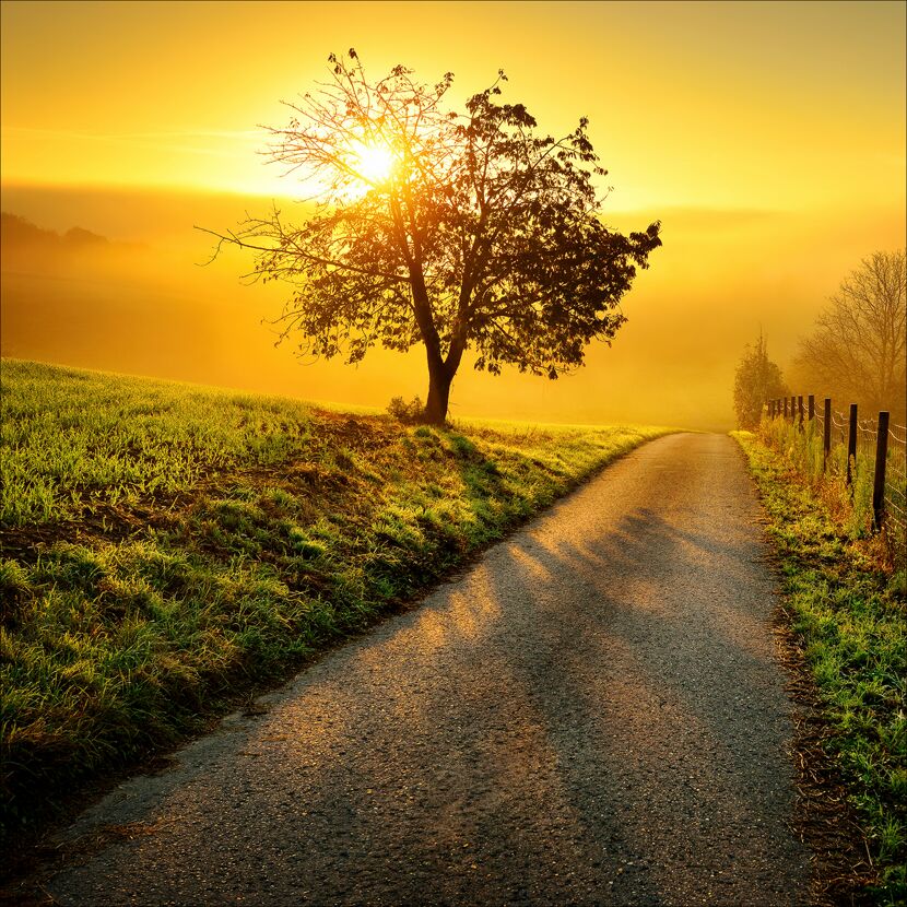 Glasbild 'Way to Horizon' mehrfarbiger Digitaldruck 30 x 30 cm