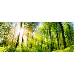 Glasbild 'Towards the Sun' mehrfarbiger Digitaldruck 50 x 125 cm