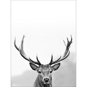 Decopanel 'Grey Deer Head III' 30 x 40 cm
