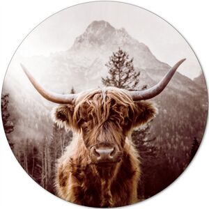 Glasbild 'Scottish Highland Cattle' mehrfarbiger Digitaldruck Ø 30 cm
