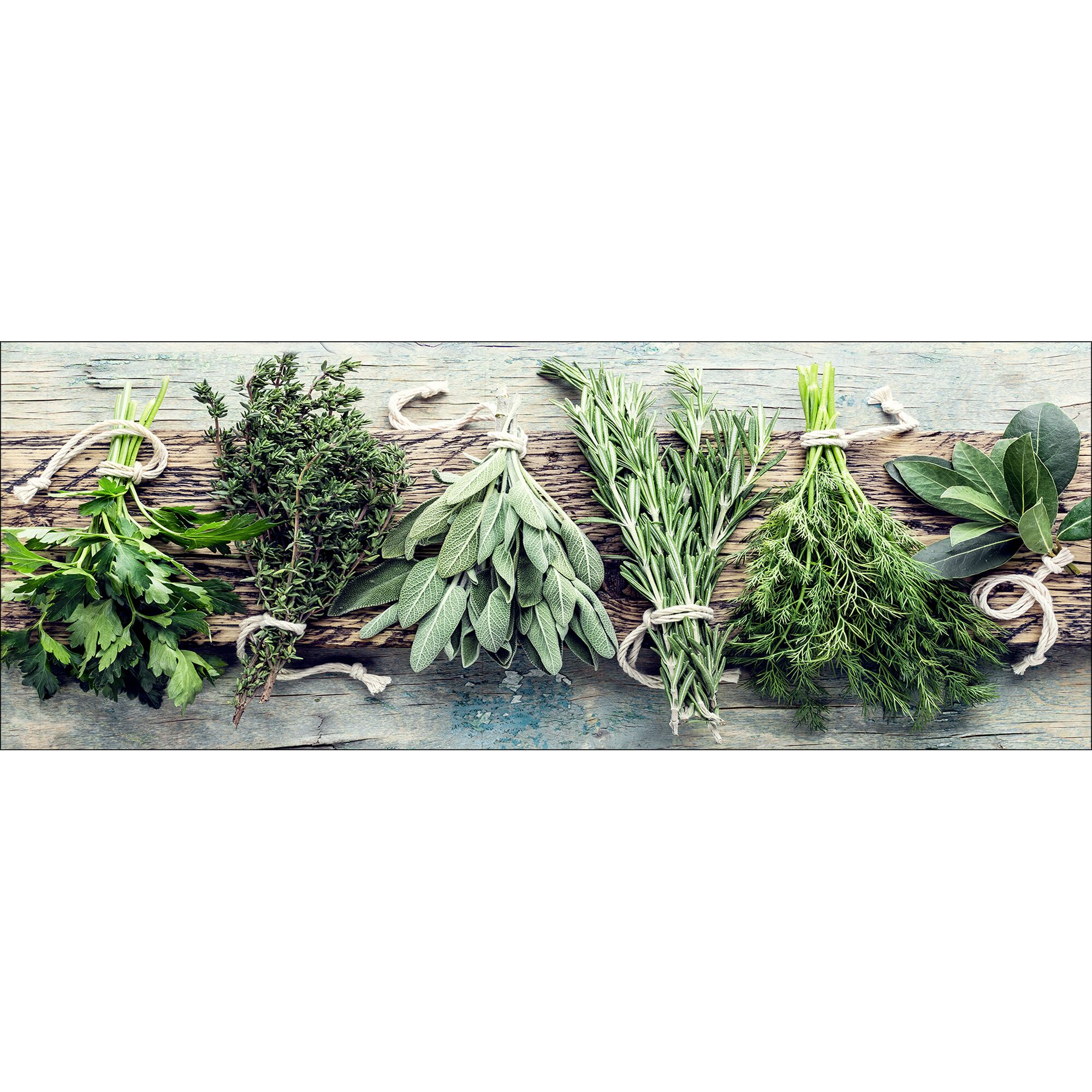 Frische Kräuter Petersilie, Thymian, Salbei, Rosmarin, Dill und Lorbeer