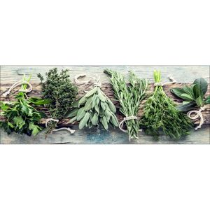 Leinwandbild Canvas-Art 'Herbs on Wood' 27 x 77 cm
