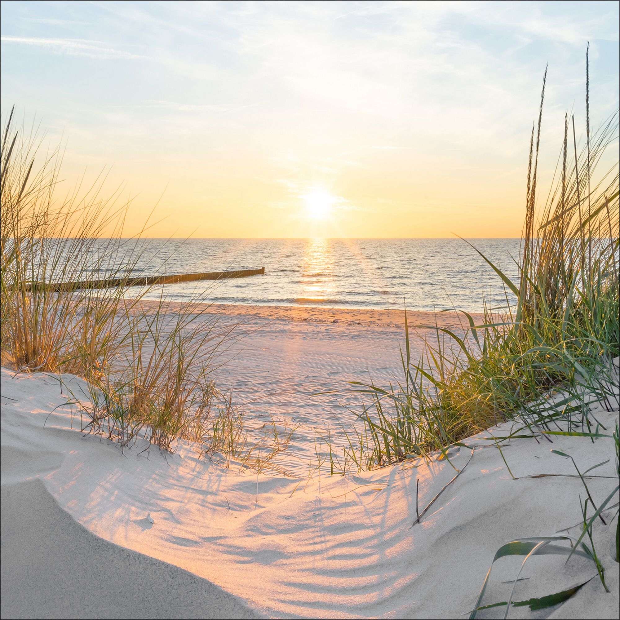 Sonnenuntergang am Strand mit Dünengras