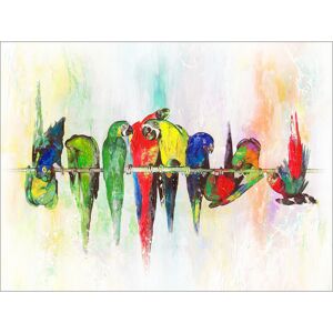 Leinwandbild Canvas-Art 'Colourful Parrots' 57 x 77 cm
